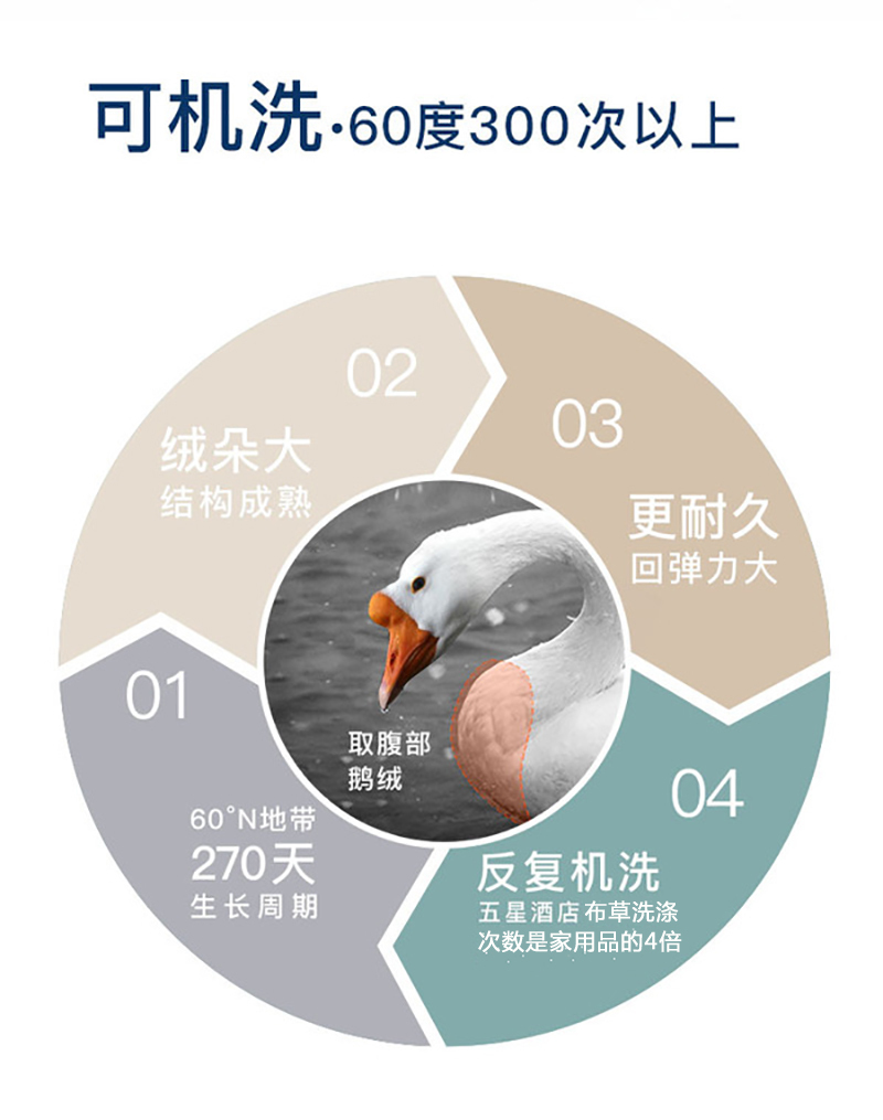 升级版 OBB Royal bed加拿大鹅绒枕头三层枕多瑙Donau系列 白色 48*74cm