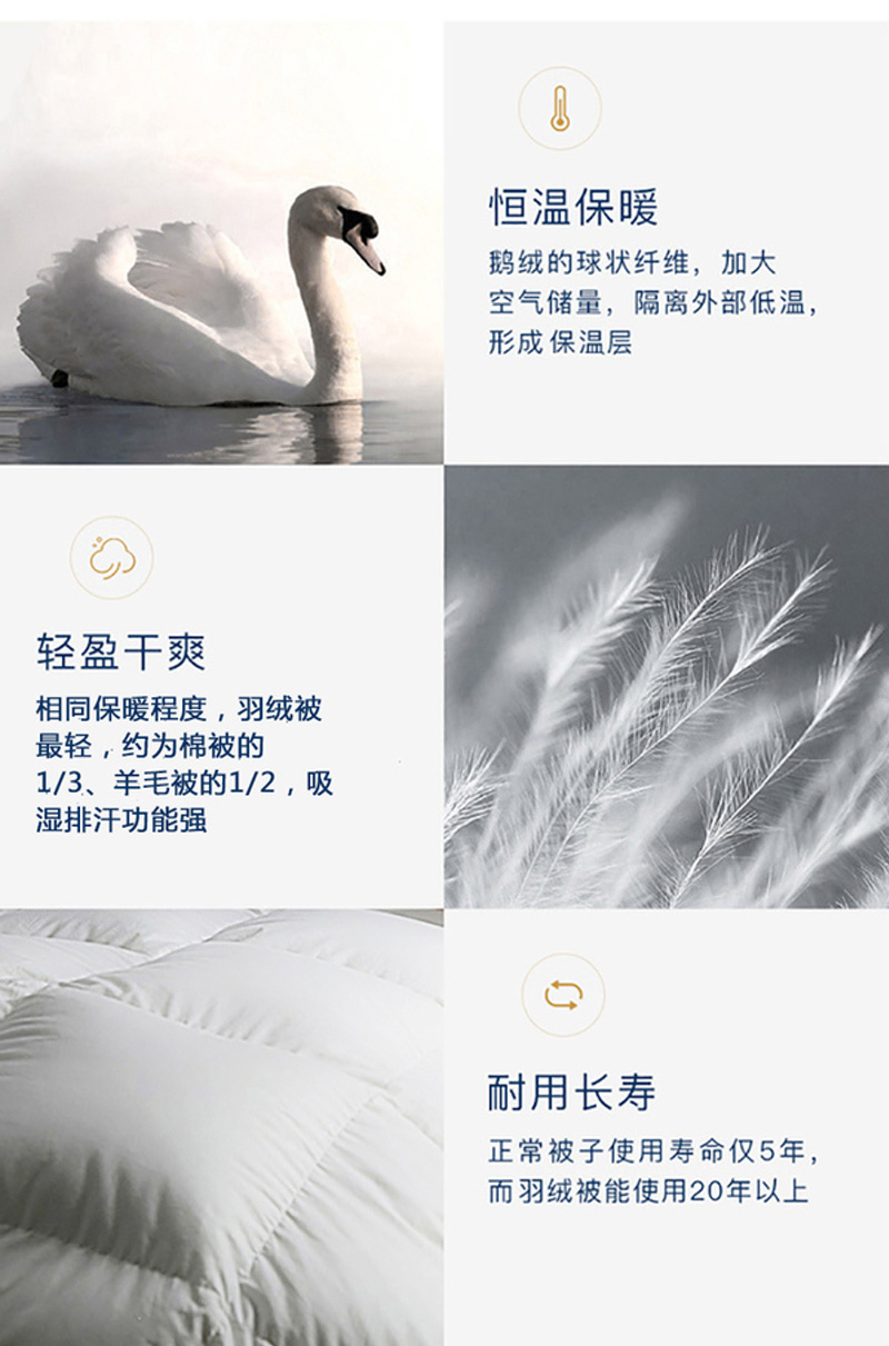 德国OBB Royal Bed德国鹅绒被Eibsee艾博90%白鹅绒 冬被 白色 150*200cm（适用于1.2m的床）
