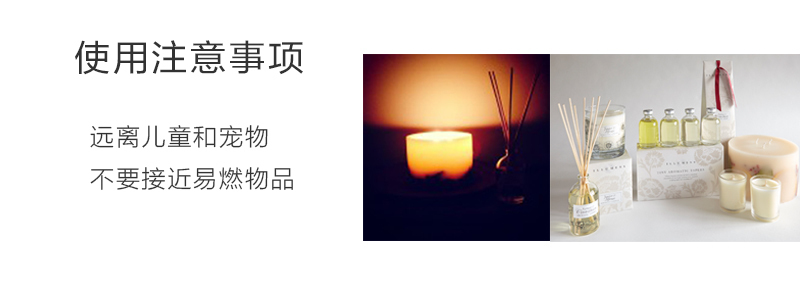 英国原产Illumens蓝铃藤条香薰室内家居香薰无火香薰 大红