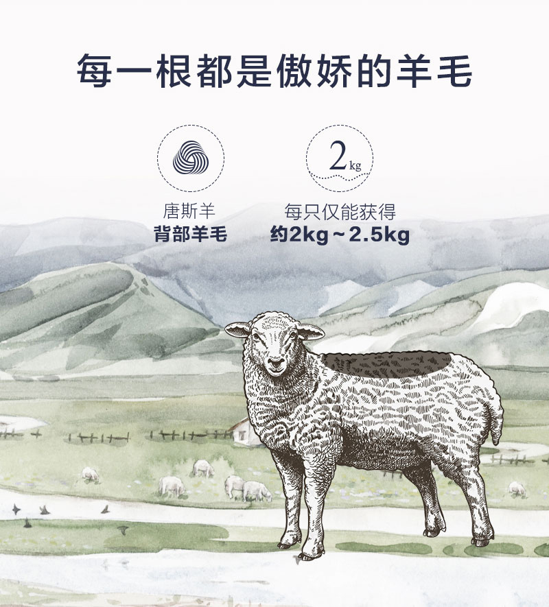 新西兰CRIA 纯羊毛   可水洗空调被200×230cm 白色 200×230cm