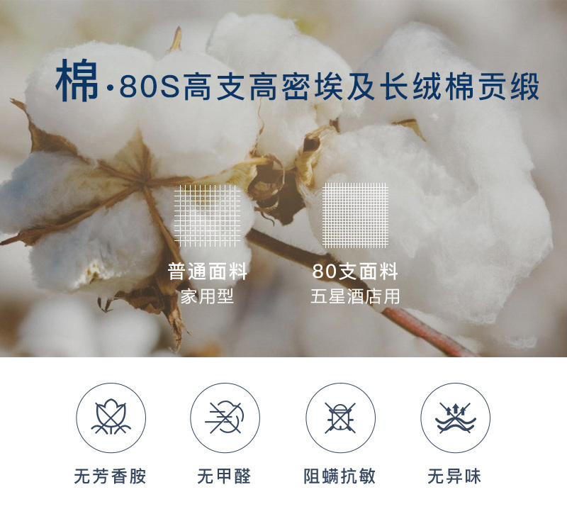 德国OBB Royal Bed德国鹅绒被Eibsee艾博90%白鹅绒 冬被 白色 150*200cm（适用于1.2m的床）