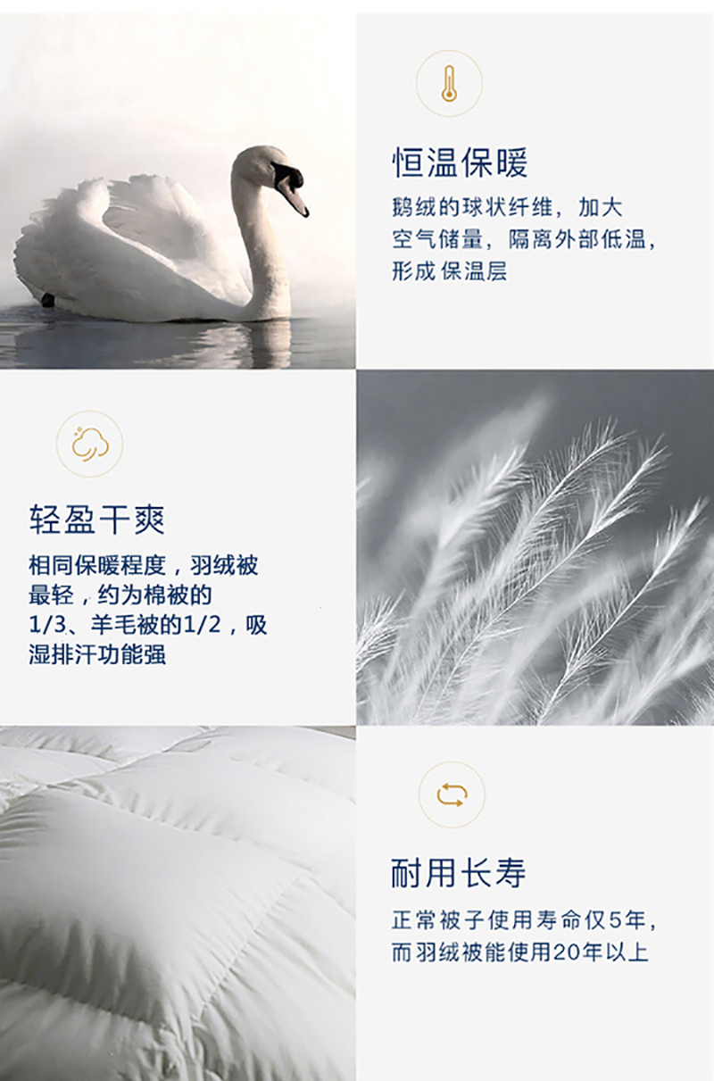 德国OBB Royal Bed90%鹅绒被 Wiltz维尔茨冬被四季被 白色 220*240cm（适用于1米8的床）