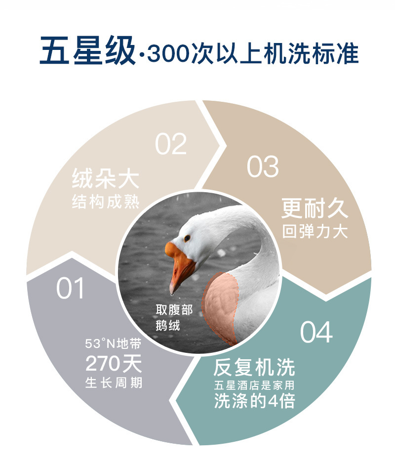 升级版 OBB Royal Bed德国90%鹅绒冬被Müritz米里茨系列 白色 200*230cm（适用于1.5m的床）